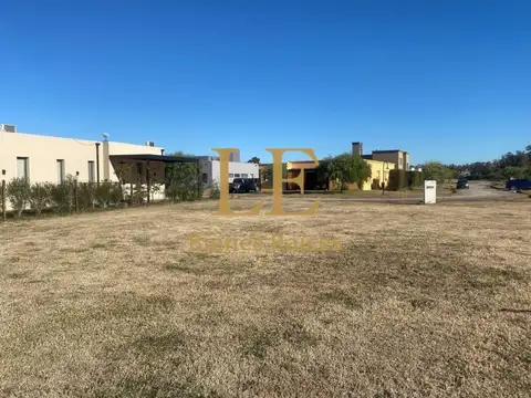El Ensueño 100