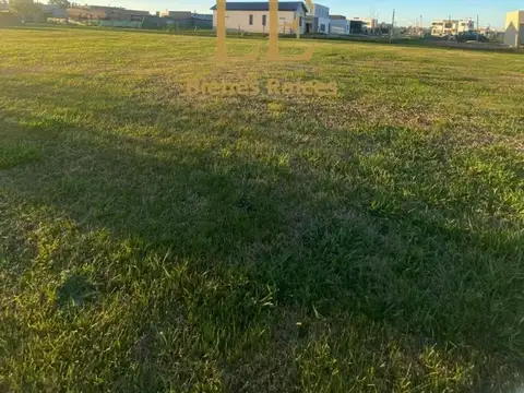 El Ensueño 100
