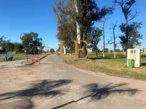 El Ensueño 100