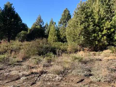 Lote Solares del Este