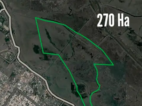 Campo en venta - 270 Hectáreas - Baradero