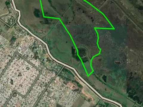 Campo en venta - 270 Hectáreas - Baradero