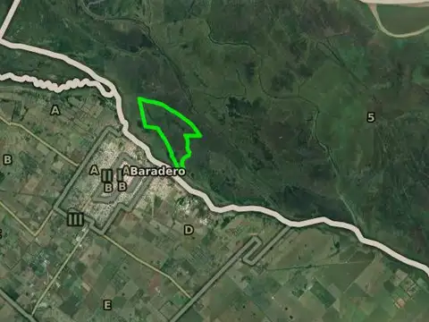 Campo en venta - 270 Hectáreas - Baradero