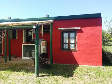 Campo - Colonia Hughes