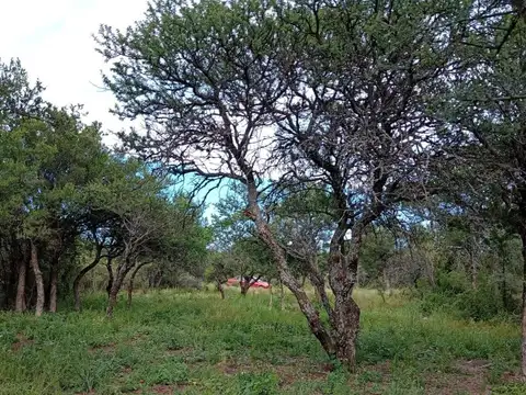 Terreno en Venta en Cortaderas, Chacabuco