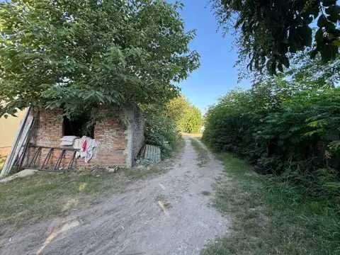 JUAN JOSÉ PASO 1768