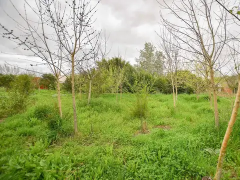 TERRENO EN VENTA LA PLATA