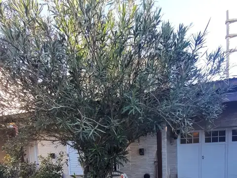 Casa  en Venta en Roque Perez, Resto de la Provincia, Buenos Aires