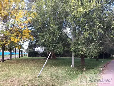 Victorino de la plaza al 1200