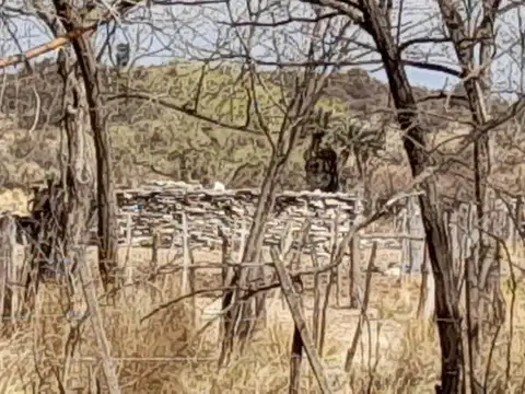 Campo en Venta de 410  ha