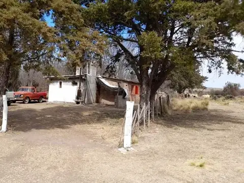 VENDO CAMPO 410 HECTÁREAS
