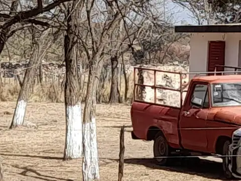 Campo en Venta Mixto