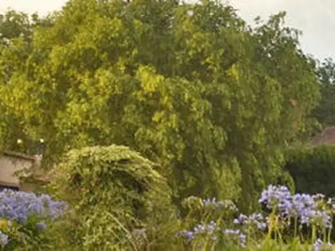 COMPLEJO - CABAÑAS EN CHAPADMALAL - ENTRE EL CAMPO Y EL MAR