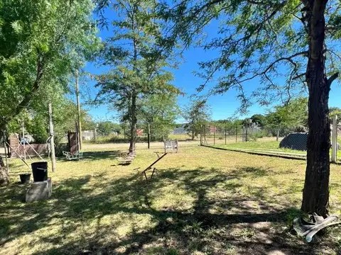 Anisacate