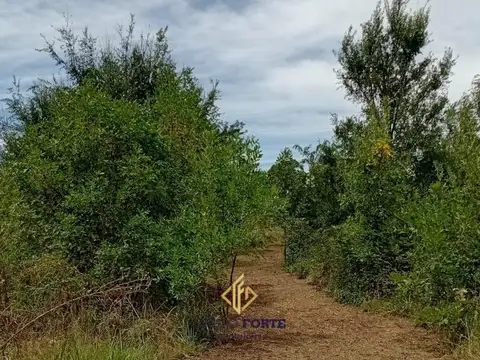 LOTE EN VENTA- VILLA CIUDAD DE AMÉRICA 