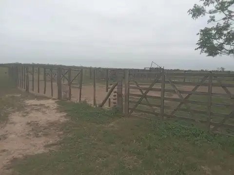 FORMOSA