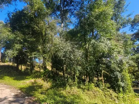 TERRENO EN VENTA HORCO MOLLE - LOS PERALES