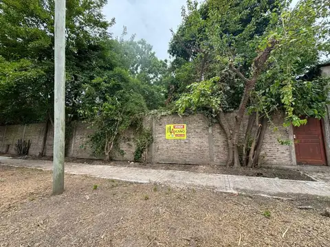 Arias 3600