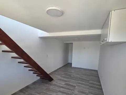 Chingolo 100