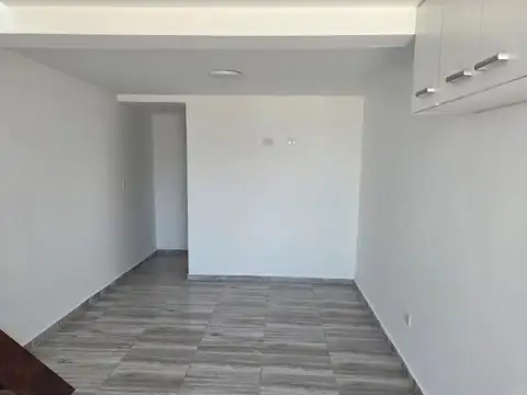 Chingolo 100