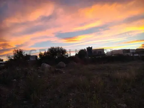 Terreno en Venta de 503,0 m2