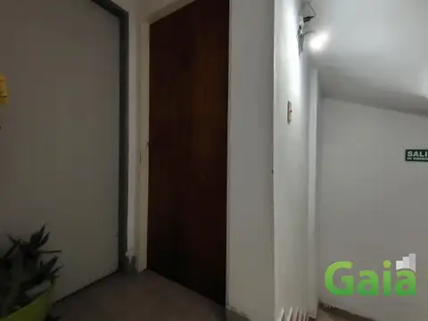 Departamento en Alquiler al Sur