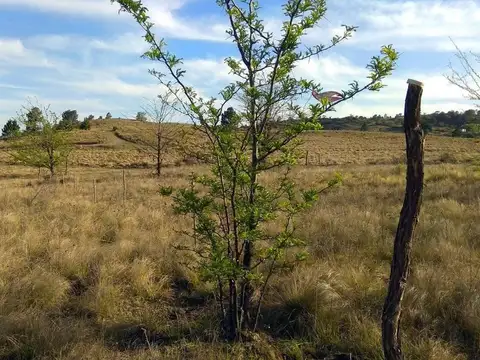EN VENTA TERRENO DE 300M2 EN YACANTO CALAMUCHITA