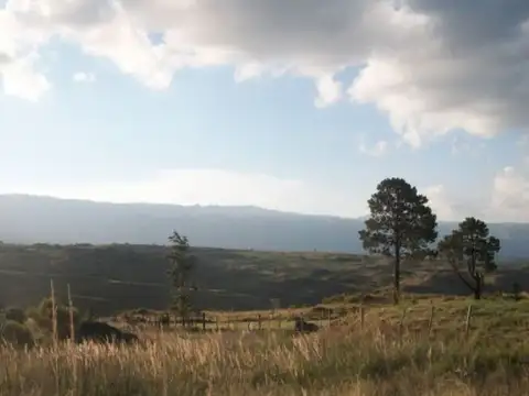 Terreno en Venta de 300,0 m2