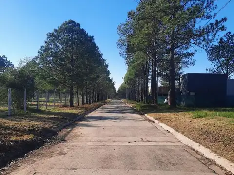 ADG. Venta de lote en Nueva Zelaya 1