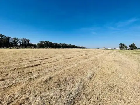 Terreno en Venta de 2000,0 m2