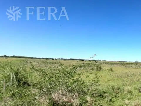 Venta campo de 49 hectareas en La Plata