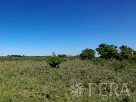 Venta campo de 49 hectareas en La Plata