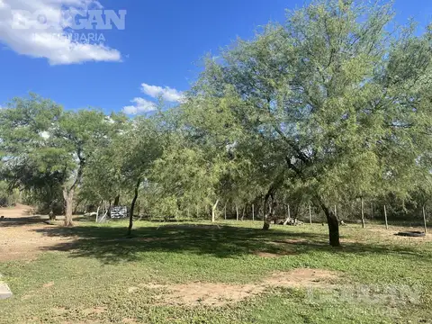 Campo en venta