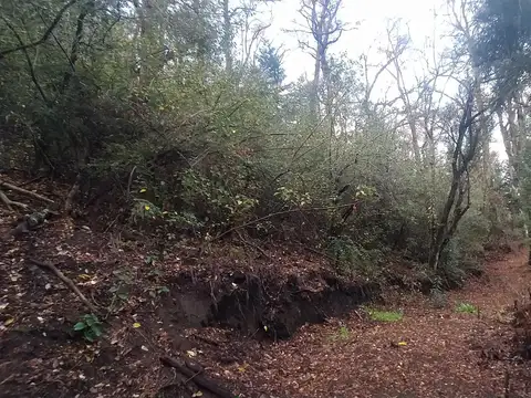 Terreno en Venta de 2341,0 m2
