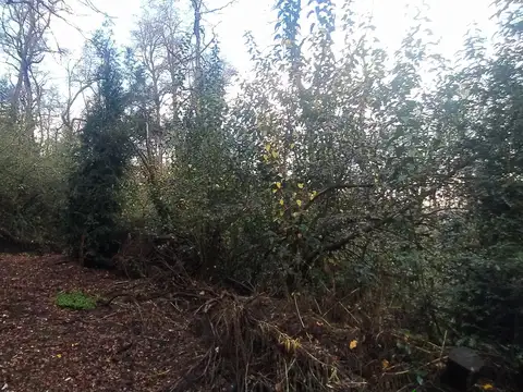 Terreno en Venta de 2341,0 m2
