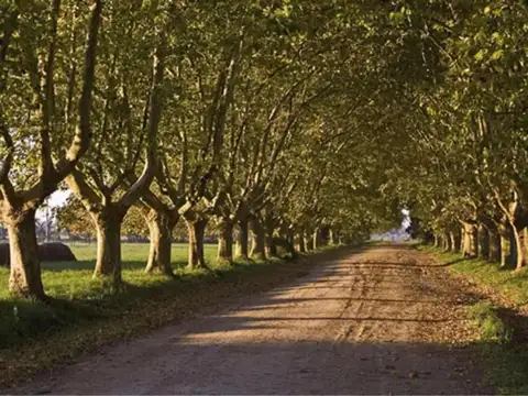 EXCELENTE LOTE EN LA ESTANCIA VILLA MARIA EN CANNING EZEIZA
