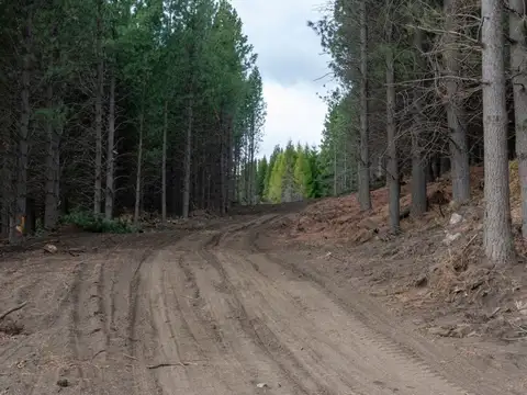 Terreno en Venta de 756,0 m2