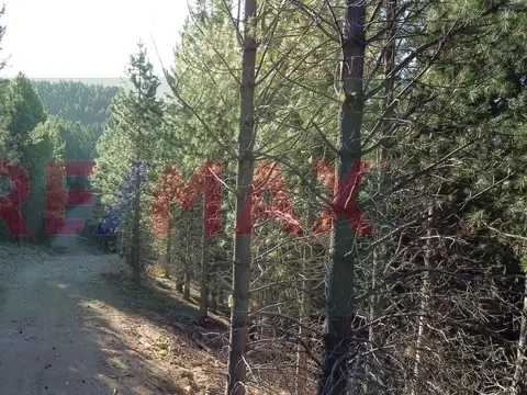 Terreno en Venta de 756,0 m2