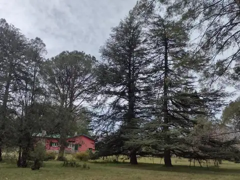 Quinta en Venta en Las Calles, San Alberto