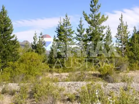 Terreno en Venta de 20000,0 m2