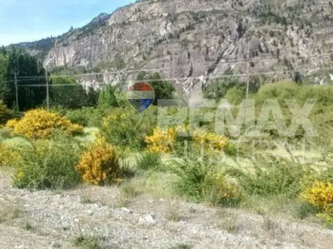 Ruta 40