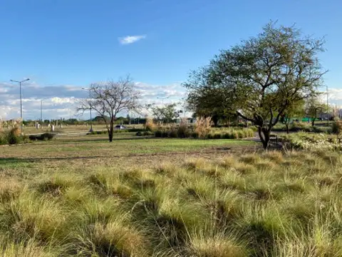 Urbanización Abierta Frente al Aeropuerto