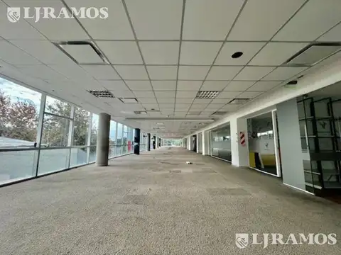 Oficina en Alquiler al Este