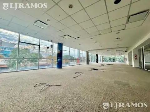 Oficina en Alquiler 7 años