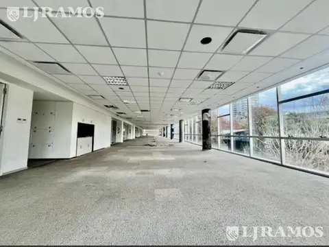 Oficina en Alquiler con 7 cocheras