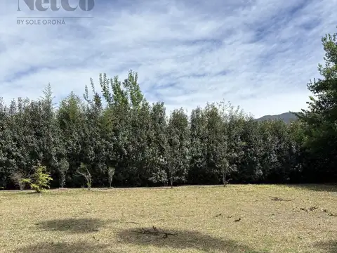 Terreno en Venta de 2135,0 m2