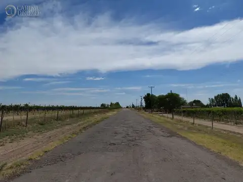 El 100