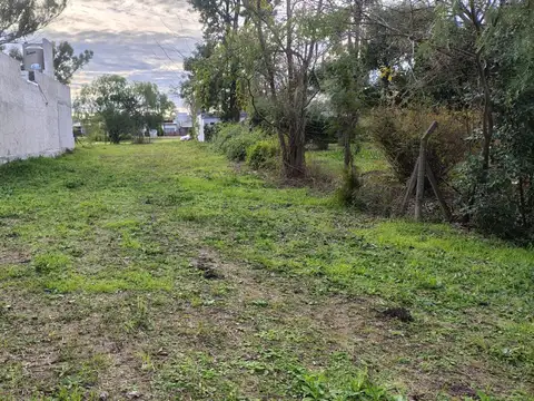 Ruta Nacional 12 100