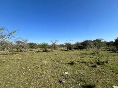 Ruta Provincial 23