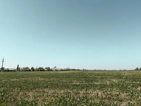 Campo agricola en Armstrong con 25 hectáreas